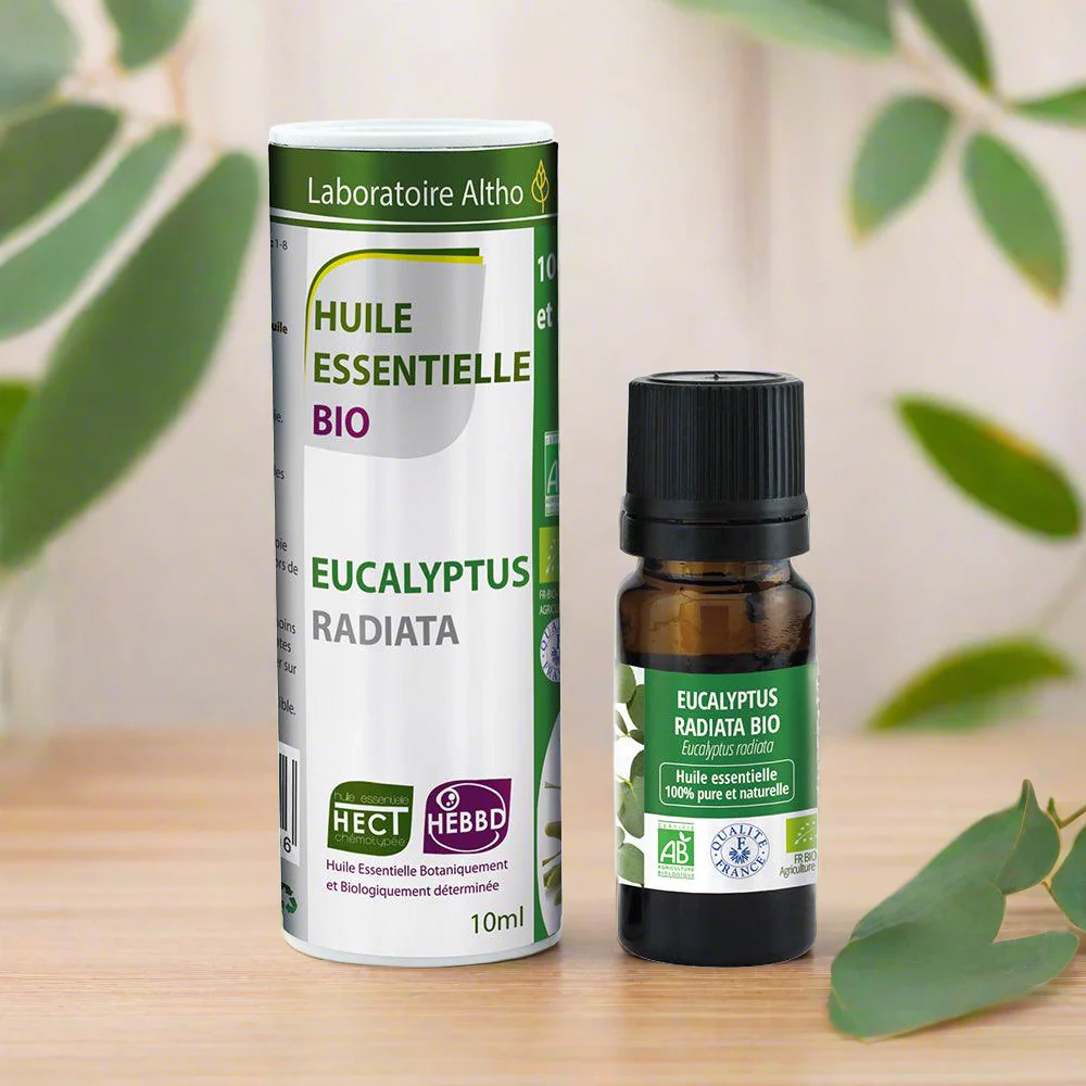 BIO Eukaliptusz radiata Illóolaj – 10ml - Image 2