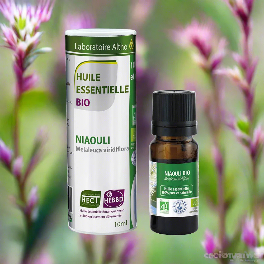 BIO Niaouli Illóolaj – 10ml - Image 2
