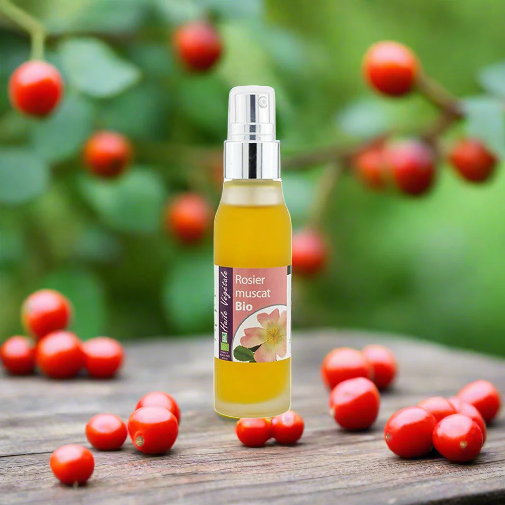 Csipkebogyómag-olaj bio - 50ml - Image 2
