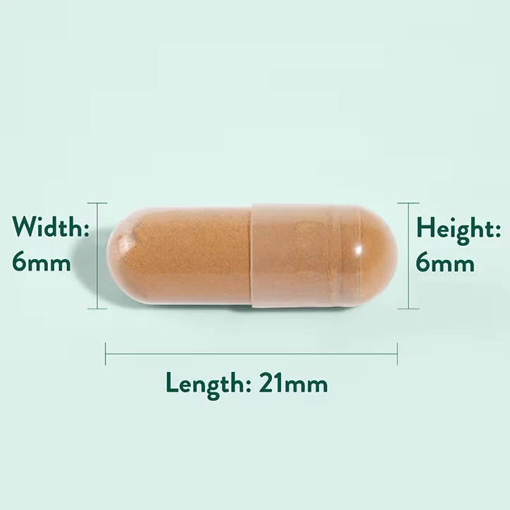 Astragalus 470mg - 90db - Image 4